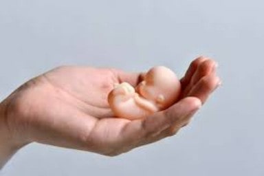 brasilescola.uol.com.br Aborto